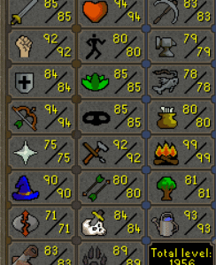 IRON 968✅